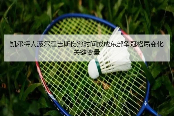 凯尔特人波尔津吉斯伤愈时间或成东部争冠格局变化关键变量
